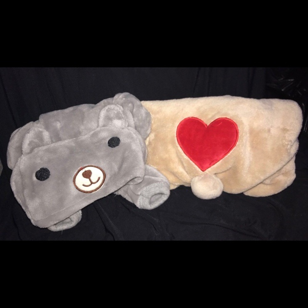cute teddy bear dog outfit